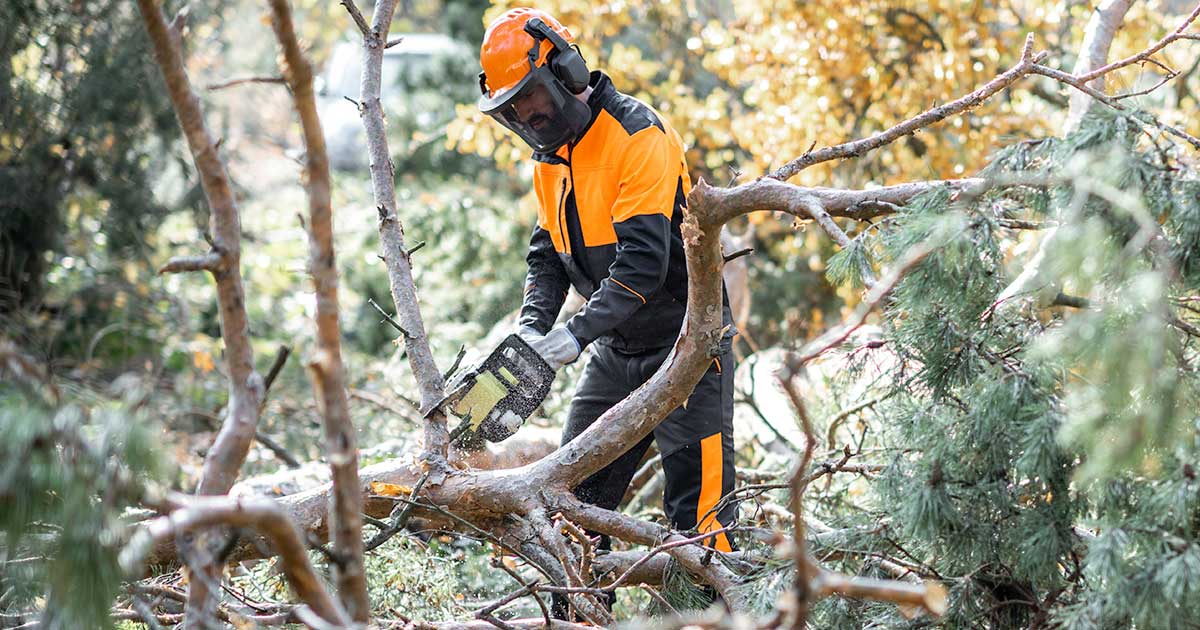 Kuulosuojaimet metsäkäyttöön